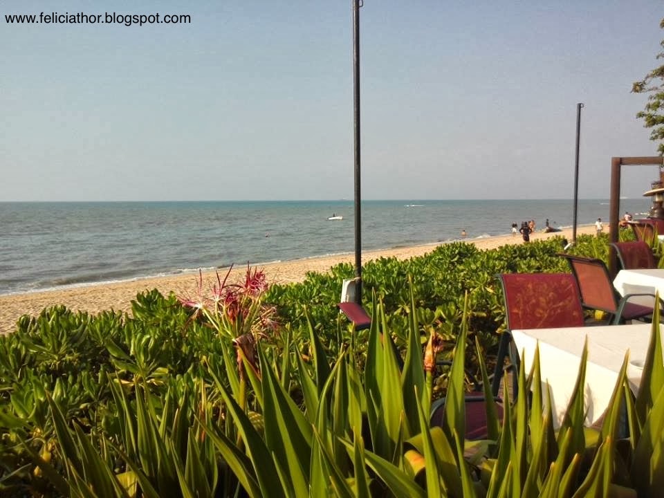 Felicia.T: Valentine Dinner : Poolside Dinner @ PARKROYAL ...