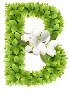 Abecedario con Hojas Verdes y Flores Blancas. Alphabet with Green Leaves and White Flowers.