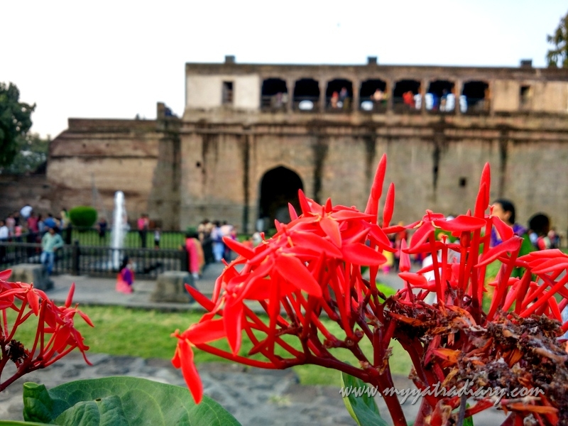 Lovely flowers in teh garden of Shaniwar wada fort, Pune Lovely flowers in teh garden of Shaniwar wada fort, Pune