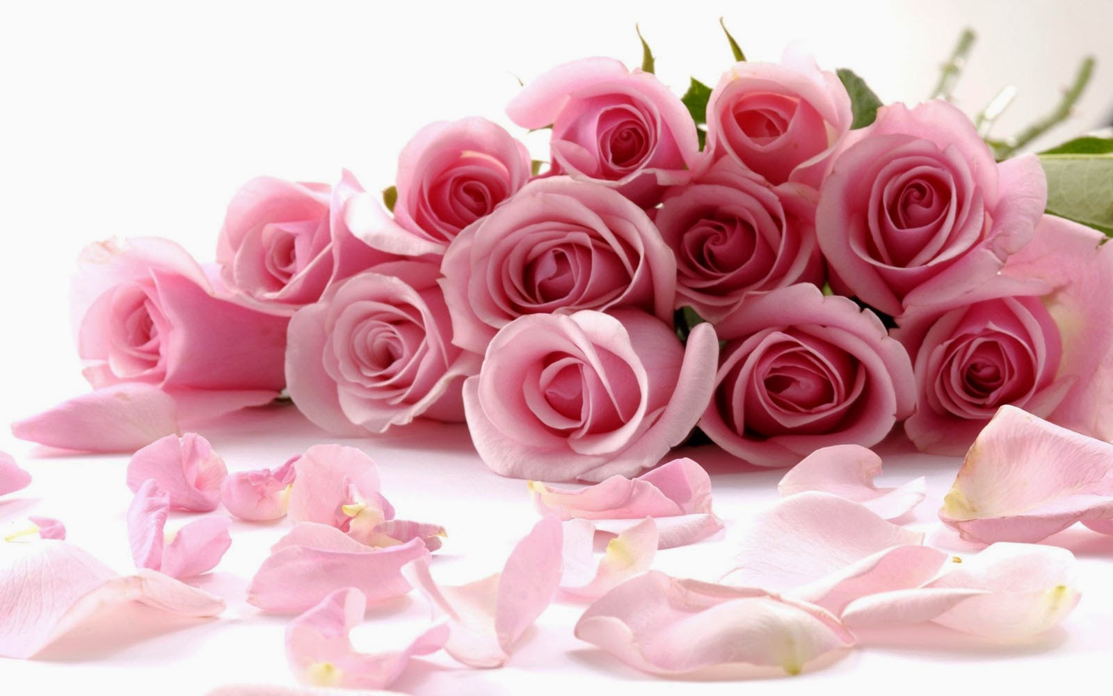 art pictures: Pink Rose Bouquet Wallpapers