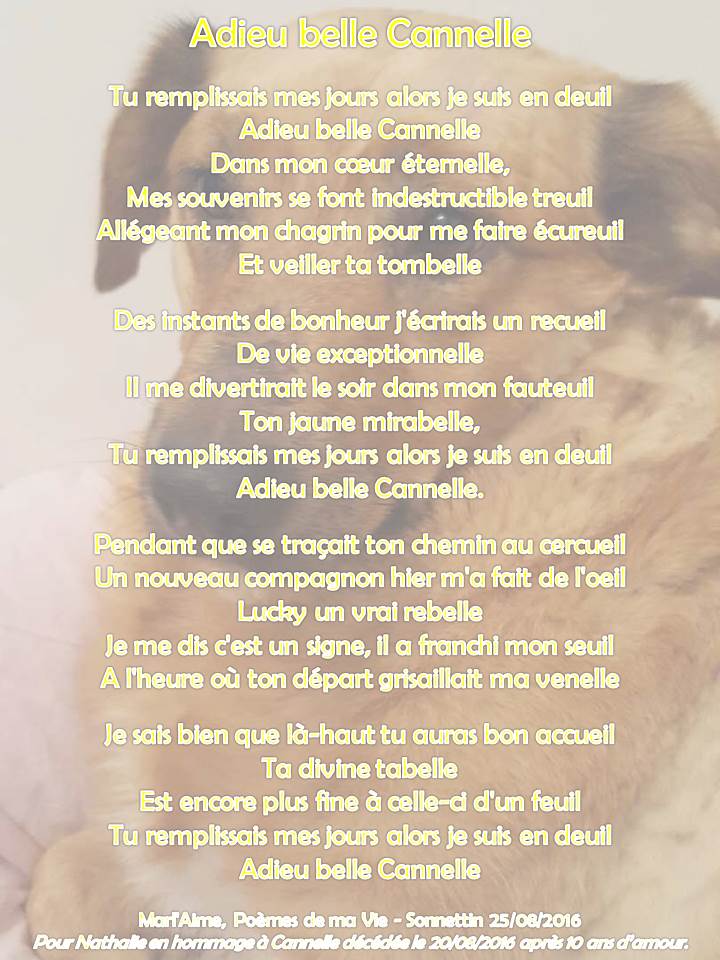 Gratuit Images Mes Amis dernière salutations