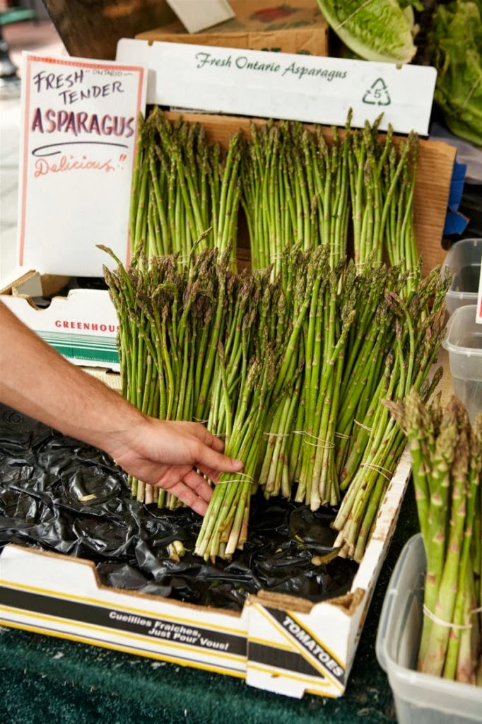 How to Grow Asparagus in Raised Beds