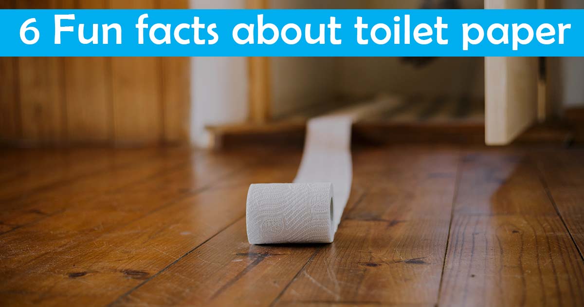 6 Fun facts about toilet paper
