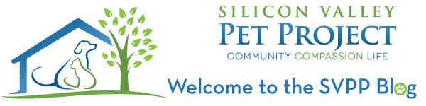 Silicon Valley Pet Project