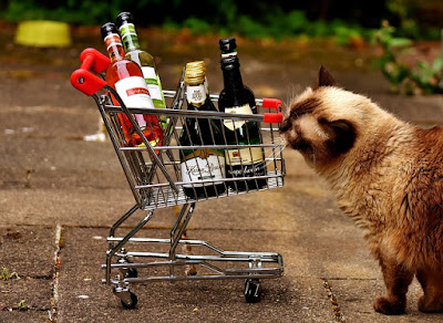 alt="gato empujando carrito con botellas de alcohol"