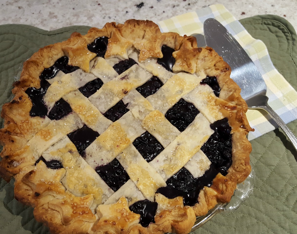 The Best Blueberry Pie Just One Donna