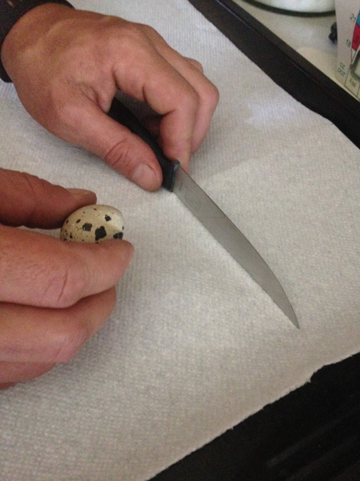 Midnight Acres Farm How to Crack a Quail Egg