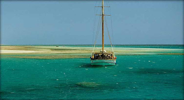 Red Sea Vacation Red Sea Vacation