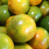 A Casca de Laranja combate problemas do Estômago