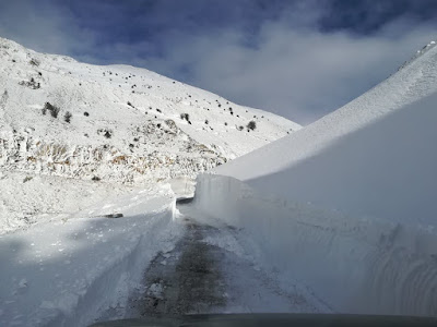 Î‘Ï€Î¿Ï„Î­Î»ÎµÏƒÎ¼Î± ÎµÎ¹ÎºÏŒÎ½Î±Ï‚ Î³Î¹Î± agriniolike Ï‡Î¹ÏŒÎ½Î¹