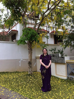 Kerala state flower: Kannikonna Falling on the ground after Vishu Kerala state flower: Kannikonna Falling on the ground after Vishu