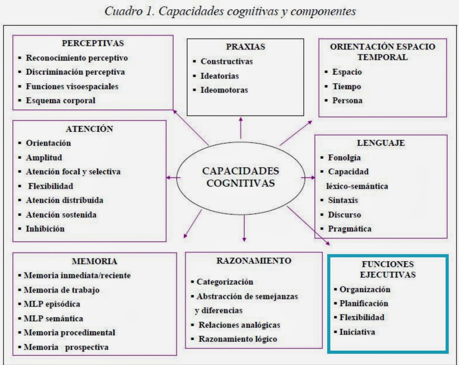 pdf neurotherapy and neurofeedback brain