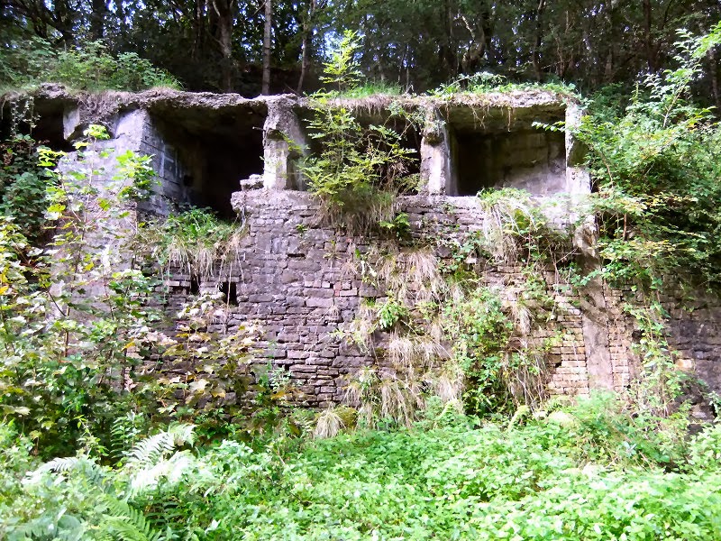 Photographs Of Newcastle Blaydon Burn