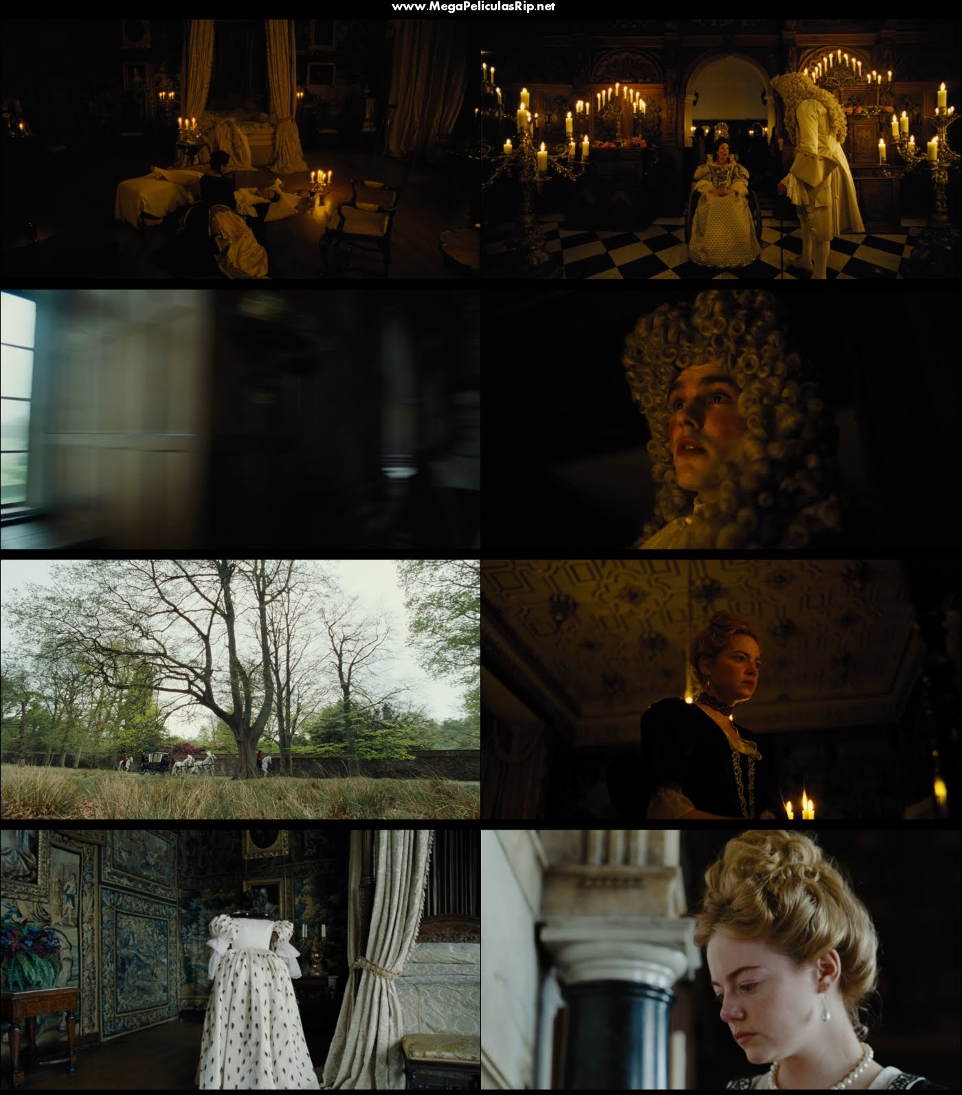 La favorita 1080p Latino