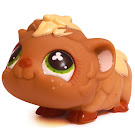 Littlest Pet Shop Multi Pack Guinea Pig (#753) Pet Littlest Pet Shop Multi Pack Guinea Pig (#753) Pet