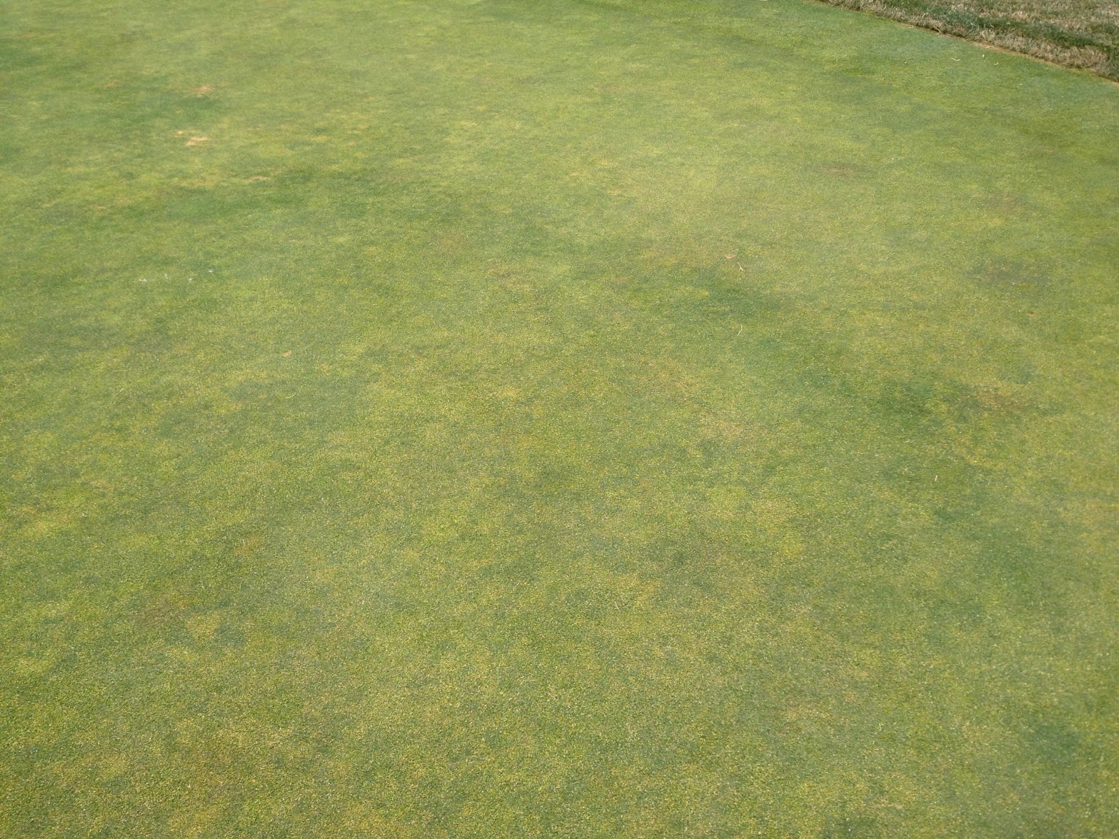 Wichita Country Club Golf Course Management: Golf Course Update