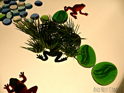 Frogs hiding on the light table from And Next Comes L