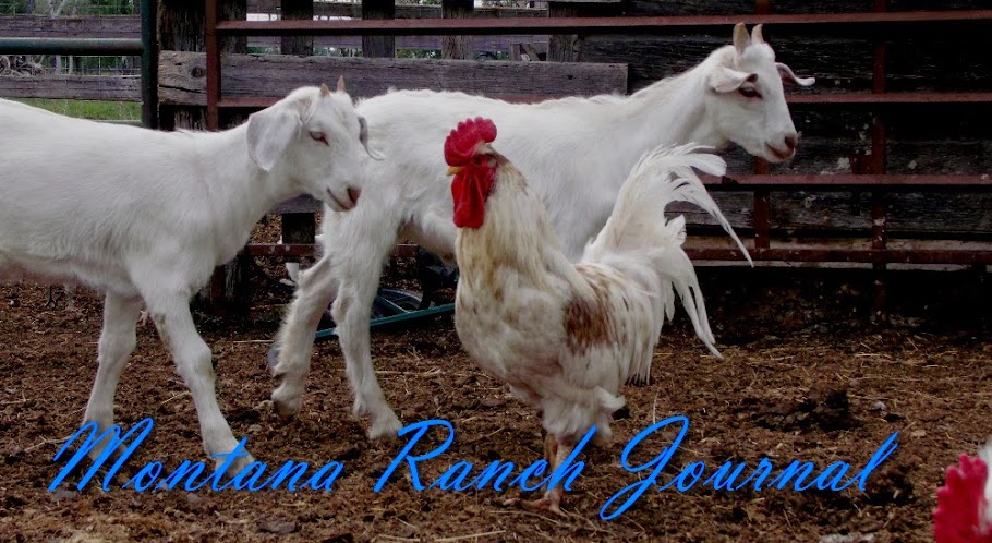 Montana Ranch Journal