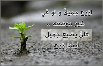 حكم وصور معبرة
