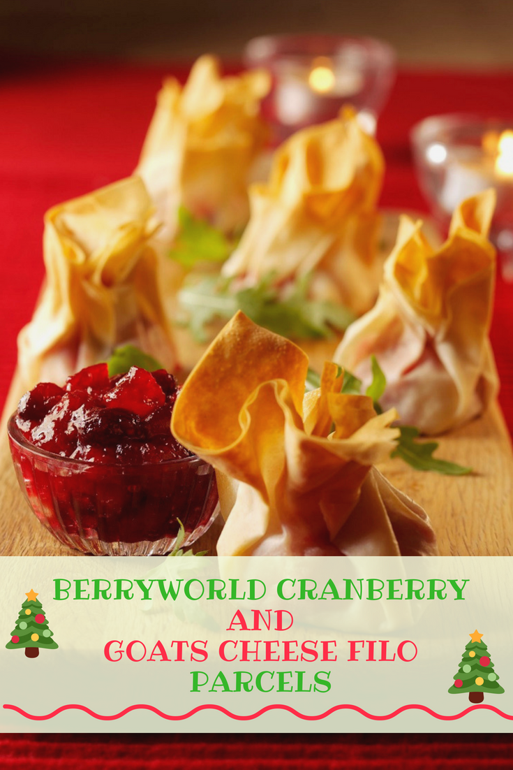 BerryWorld Cranberry And Goats Cheese Filo Parcels
