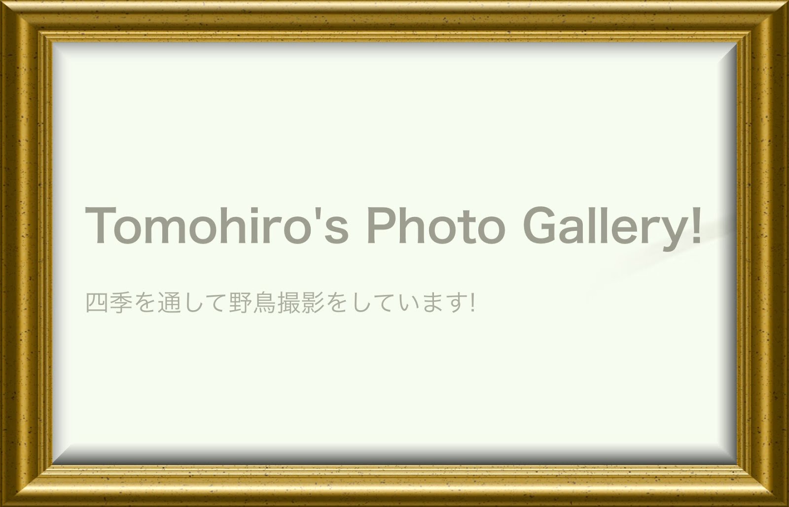 Tomohiro's Photo Gallry!