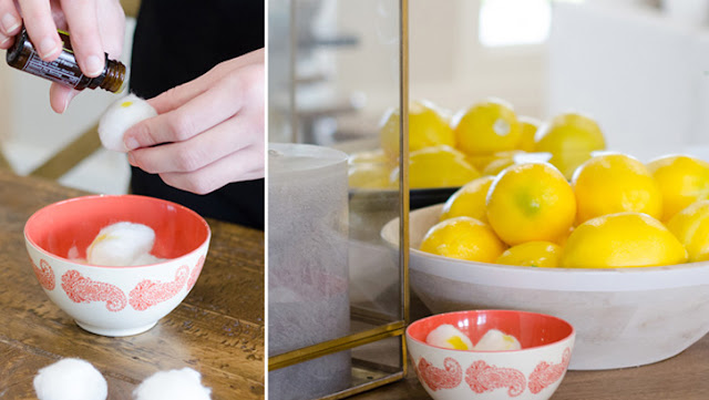 Cara Agar Rumahmu Menjadi Wangi Cara Agar Rumahmu Menjadi Wangi