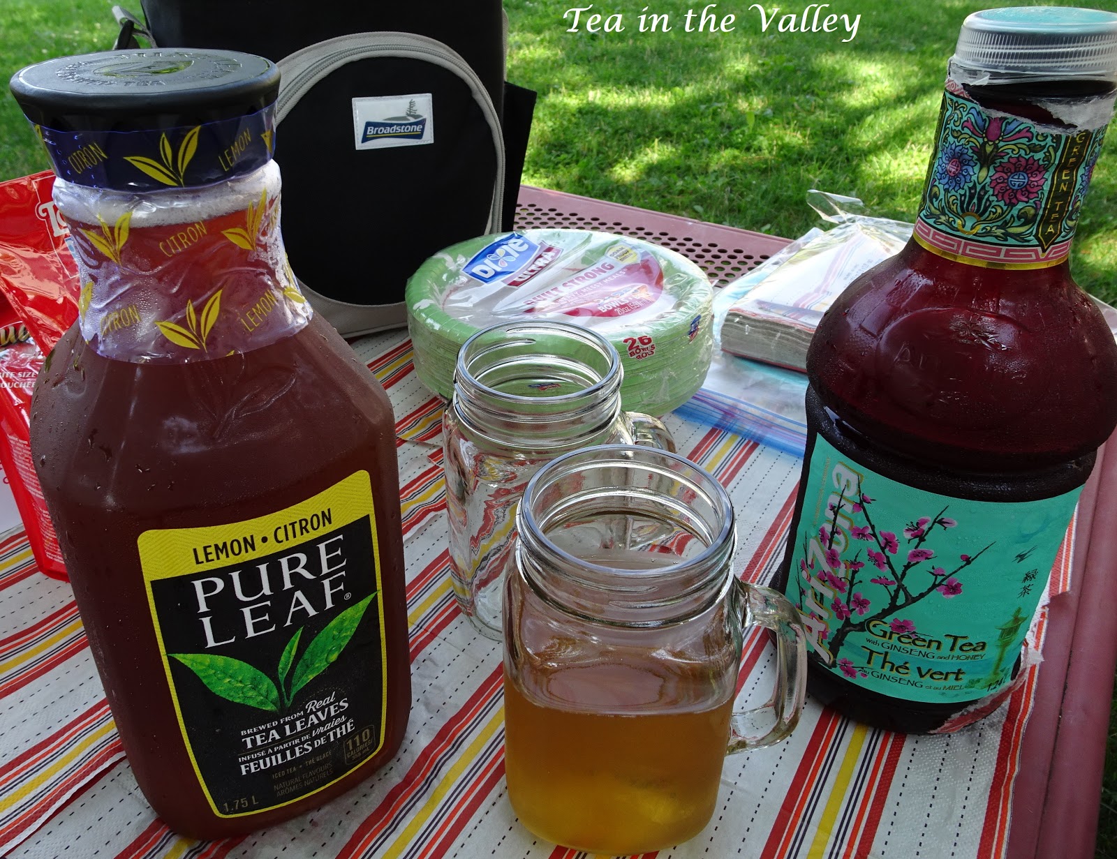 Tea in the Valley Outdoor Summer Tea Social