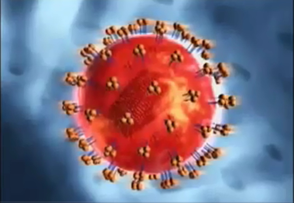 Sistem pertahanan Tubuh Manusia Video HIV 