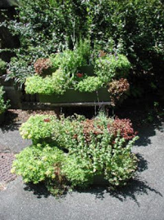 Natur Freunde Umwelt Juli 2017