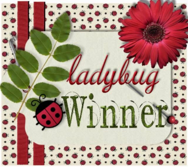 Ladybug Blog Challenge Winner