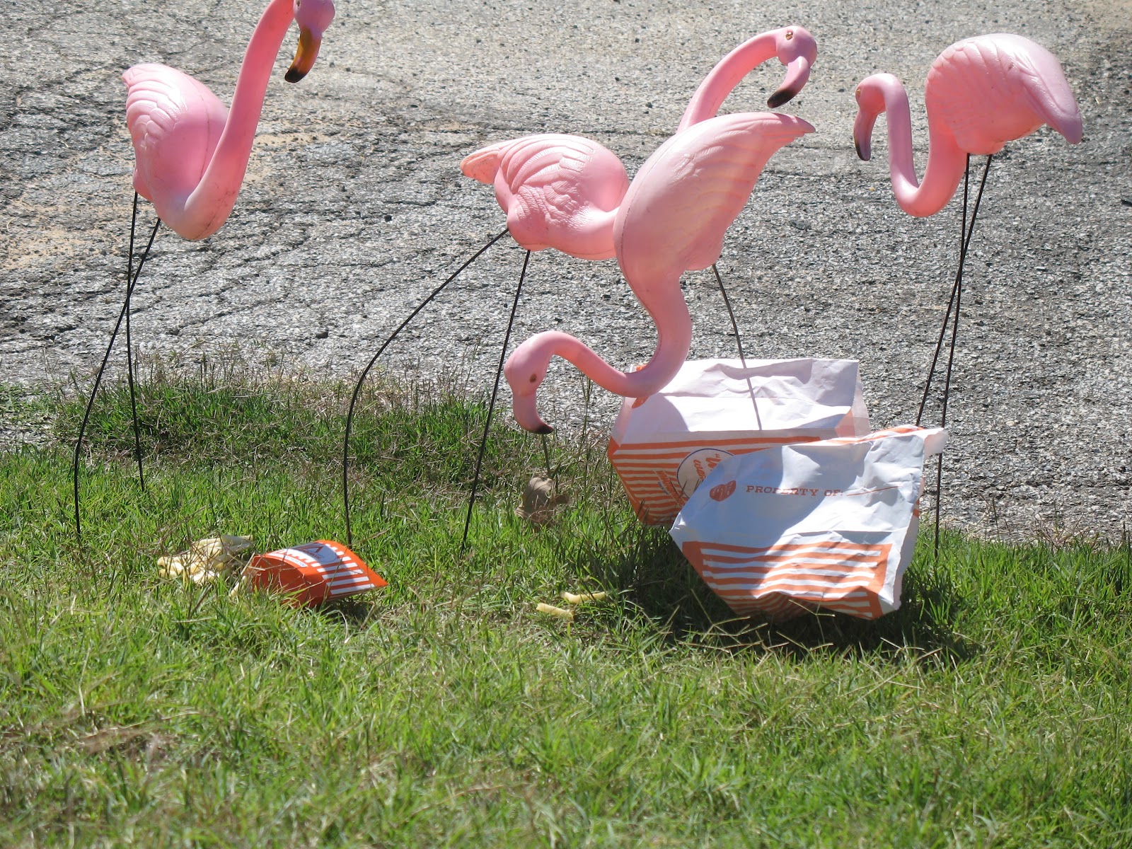 The Flamingo Chronicals: Light Up Camp Buckets
