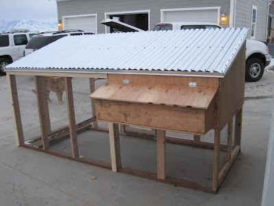 Chicken House Plans: Chicken Coop Building Mistakes