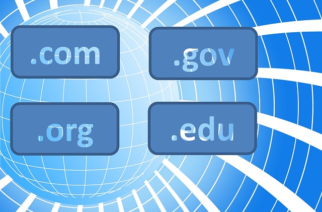 Menggunakan TOP LEVEL DOMAIN Tidak Selalu Menunjukkan Keprofesionalan Menggunakan TOP LEVEL DOMAIN Tidak Selalu Menunjukkan Keprofesionalan