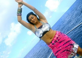 Namitha Hot Indian Actress, Tamil Hot Aunty Namitha Vankawala 17