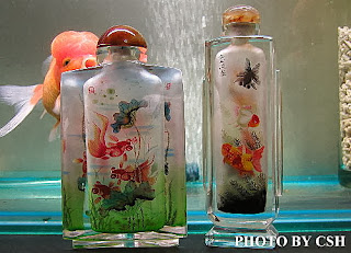 金魚 水族快訊goldfish Aquarium Messages 金魚瓶瓶罐罐 Goldfish Bottle And Jar