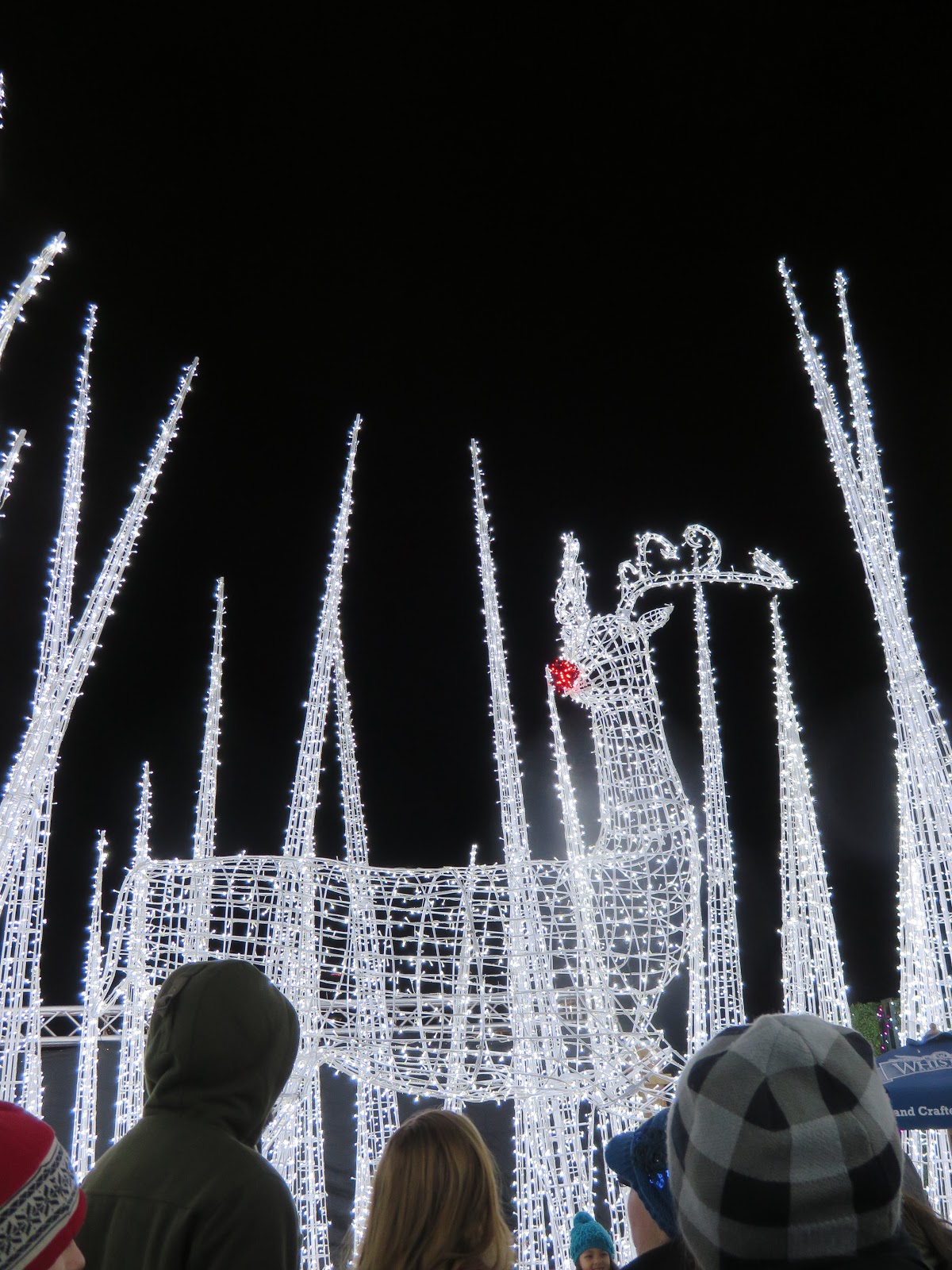 Enchant Christmas Light Maze and Market Vancouver, Canada chichicho