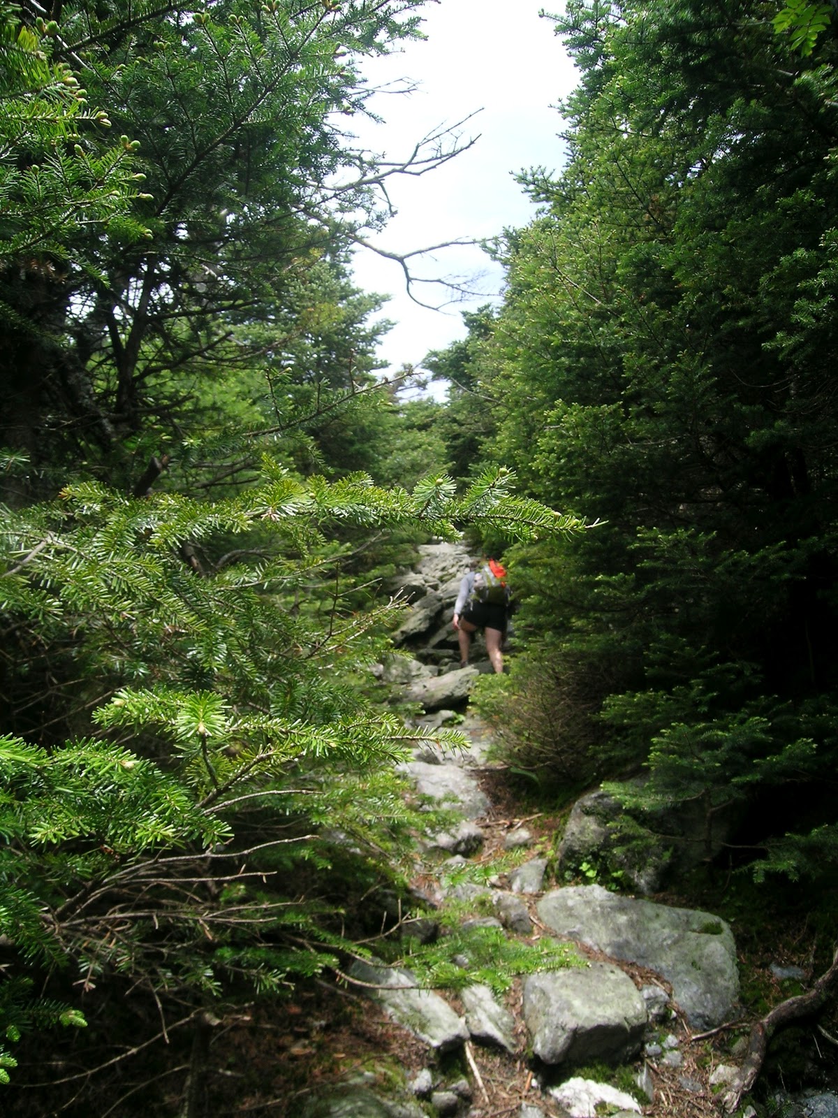 Green Mountain Lines Walking Monroe's Skyline