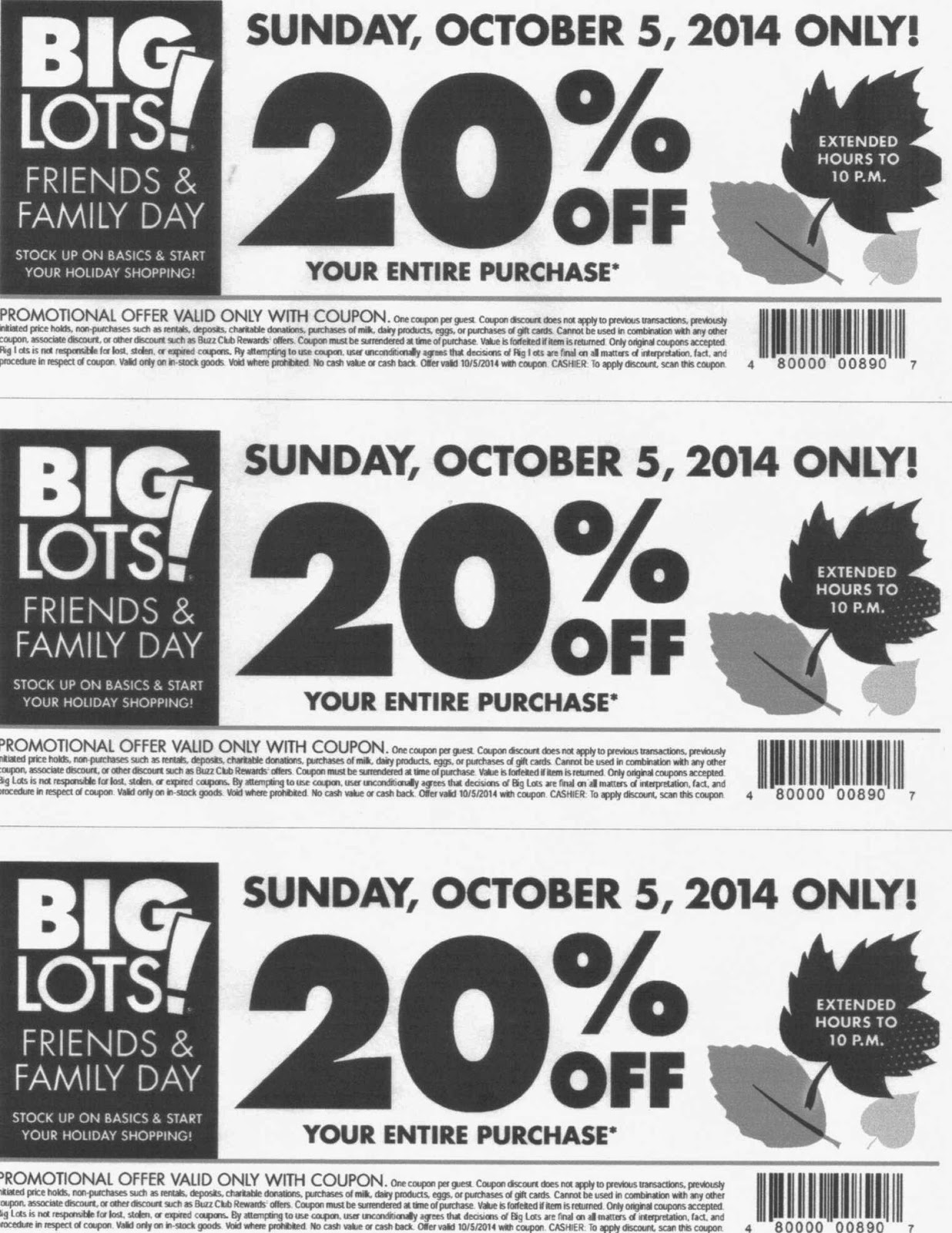 Rainier Lions Club Big Lots Friends & Family Coupons