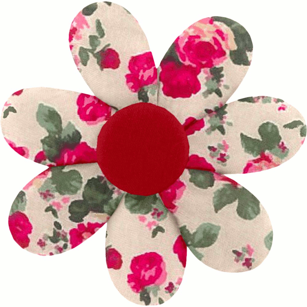 Bautista Cámpora y Mauricio Cohen. Tecnología Animaciones GIF