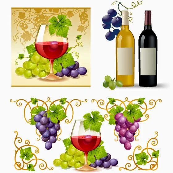 Uvas y vino - Vector