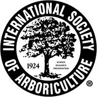 Tree Sense: Why Hiring A Certified Arborist Matters