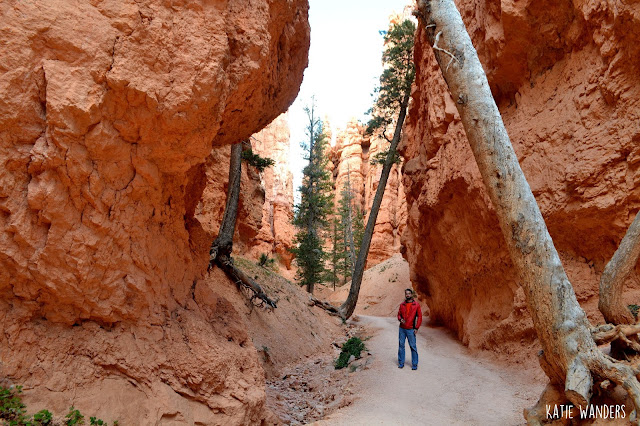 avajo/Queens Garden Loop Trail, Bryce Canyon National Park