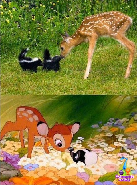 . Estampida Animal .: Bambi