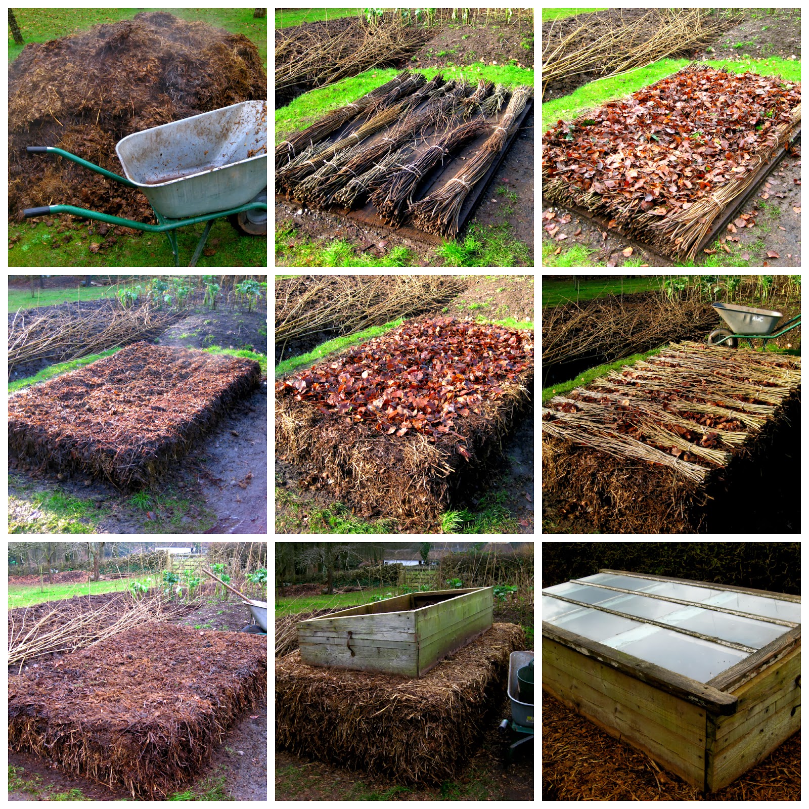 up the garden path diary of a hotbed