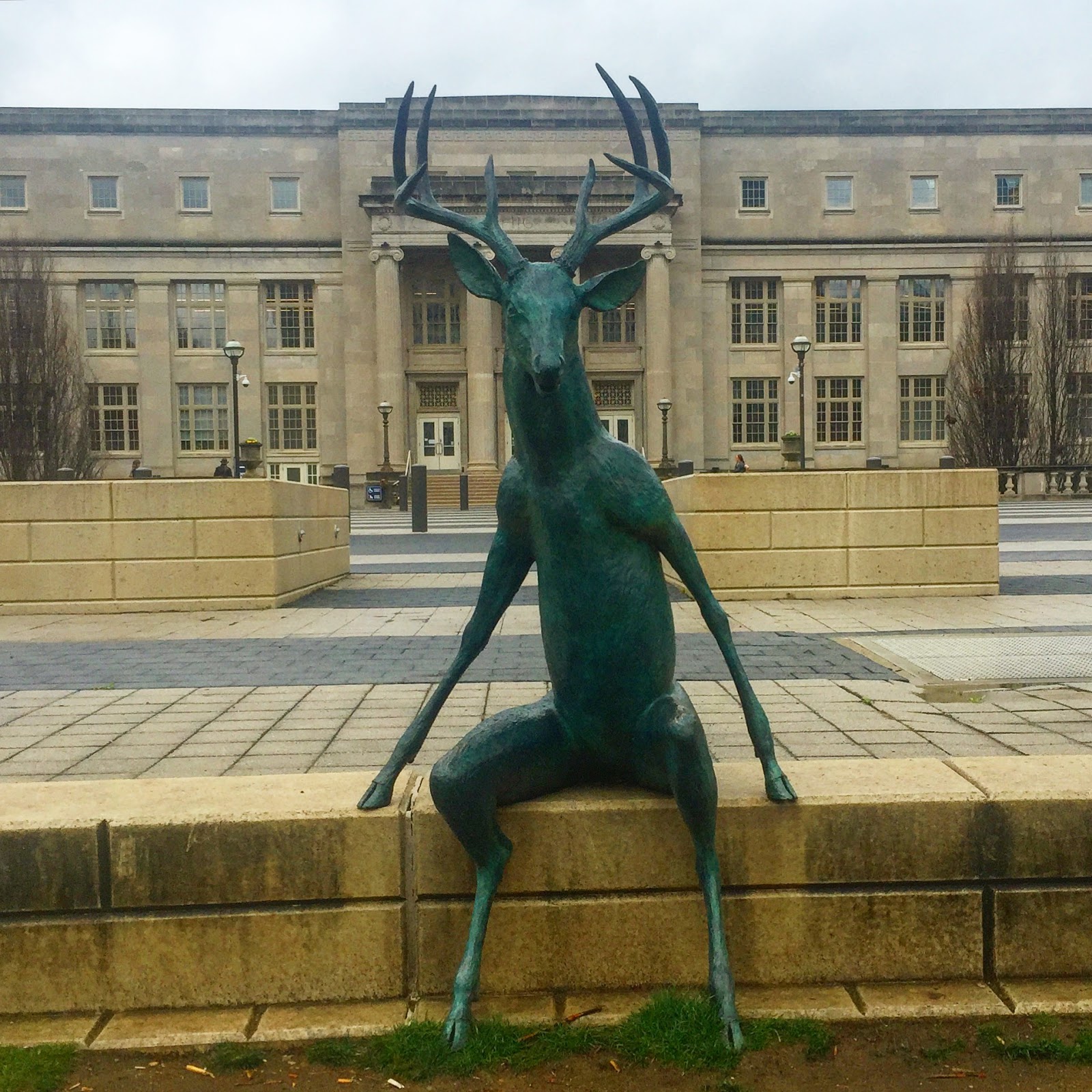 OHventures The Deer Of The Scioto