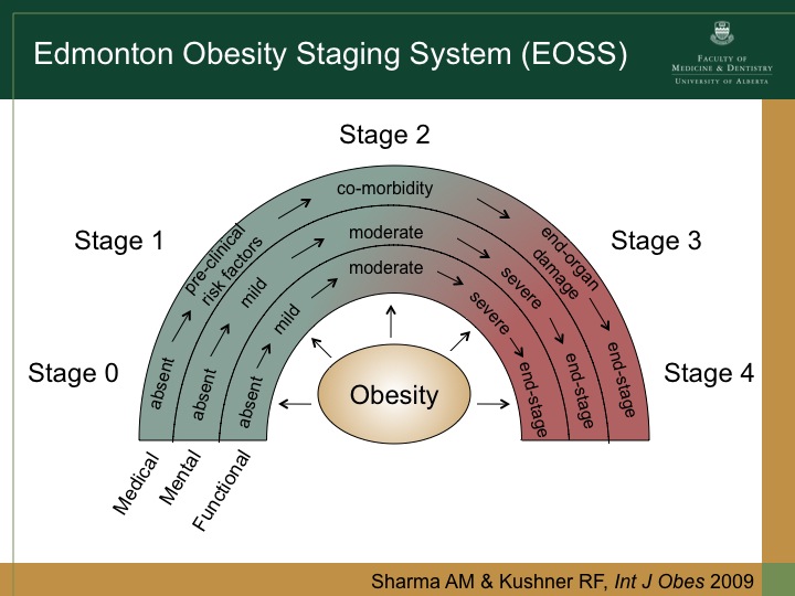 Weighty Matters A new staging system reveals new truths about the risks of obesity.
