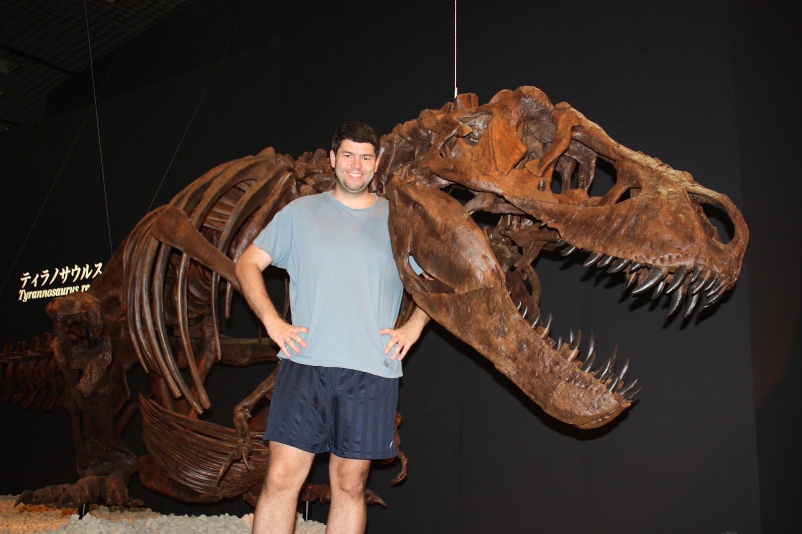 the tyrannosaur chronicles