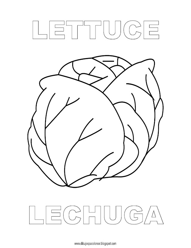 Dibujos Inglés - Español con L: Lechuga - Lettuce
