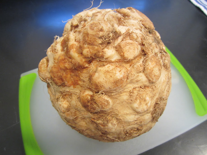 The Full Plate Blog what does a celery root look like?