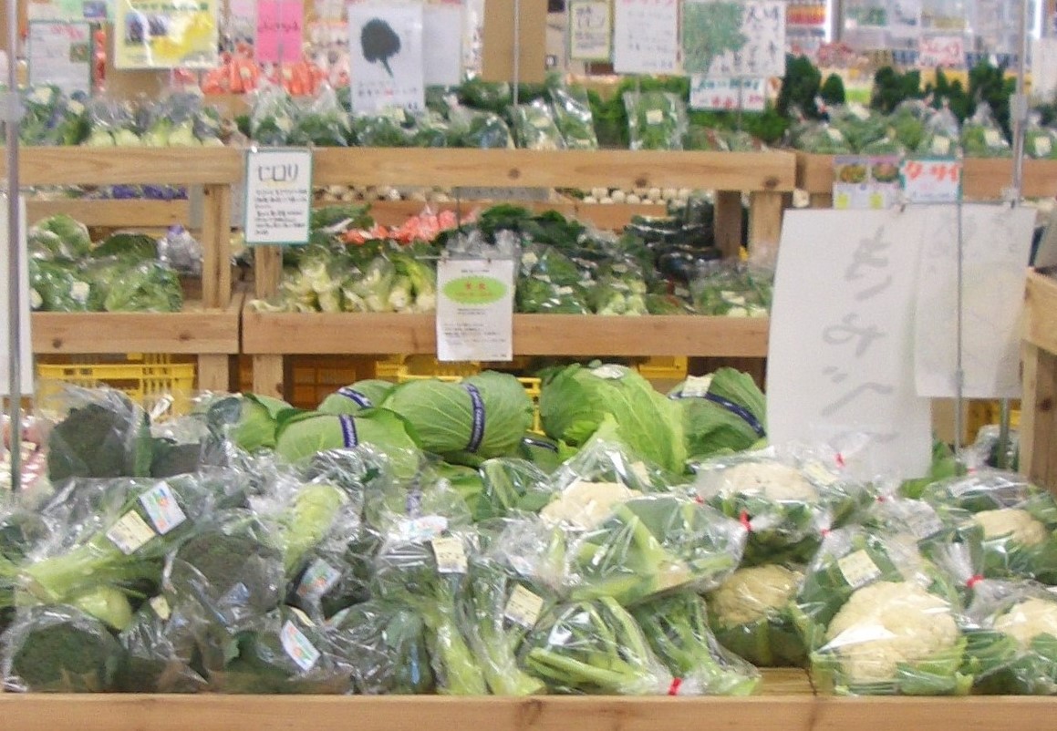 農業 商業お助けマン 農産物直売所 売れるレイアウトと陳列は 補完版